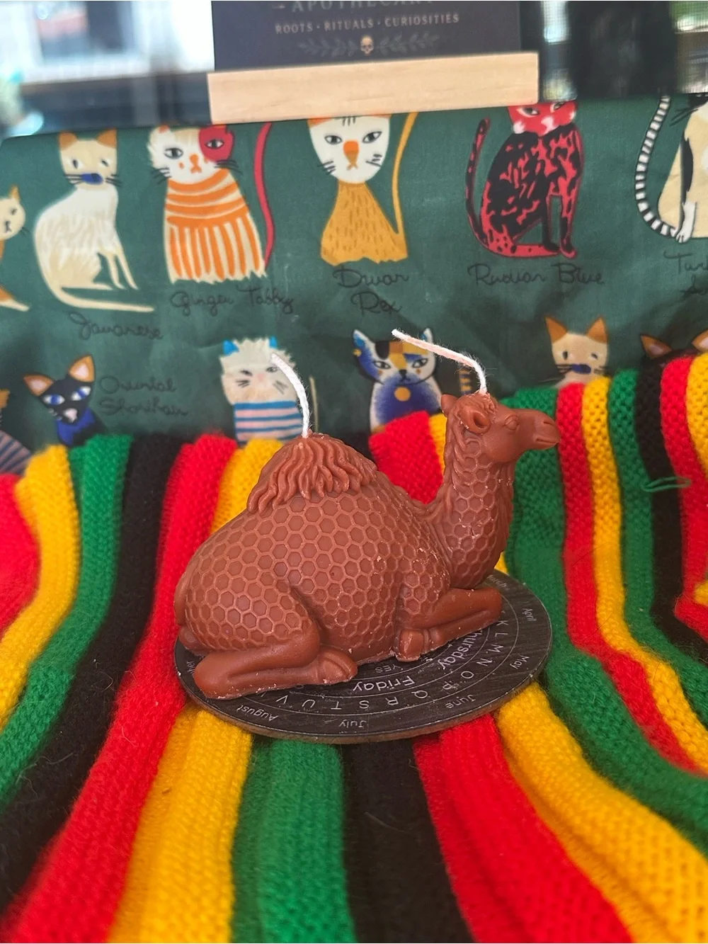 Camel Candle – Double Wick